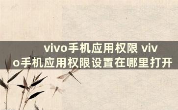 vivo手机应用权限 vivo手机应用权限设置在哪里打开